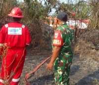 Gerak Cepat Babinsa dan Tim Damkar Padamkan Karhutla di Desa Badak Mekar, Selamatkan Lahan Warga