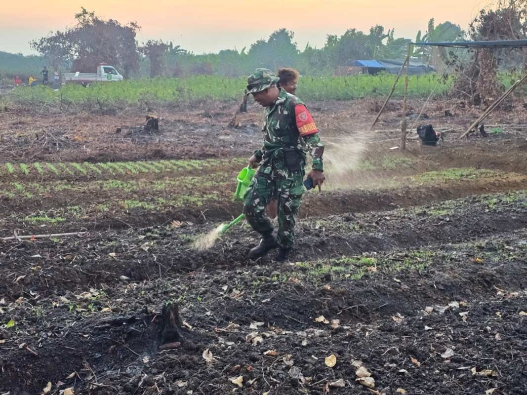Wujudkan Ketahanan Pangan, Babinsa Desa Sidomulyo Bantu Warga Rawat Tanaman Kangkung