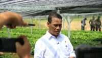Investasi Pemerintah untuk Pertanian Kopi dan Kakao di Lampung