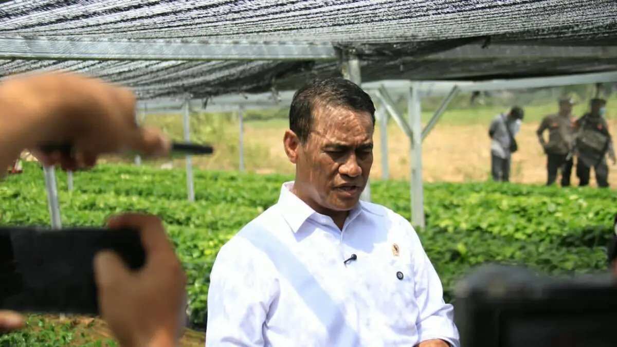Investasi Pemerintah untuk Pertanian Kopi dan Kakao di Lampung