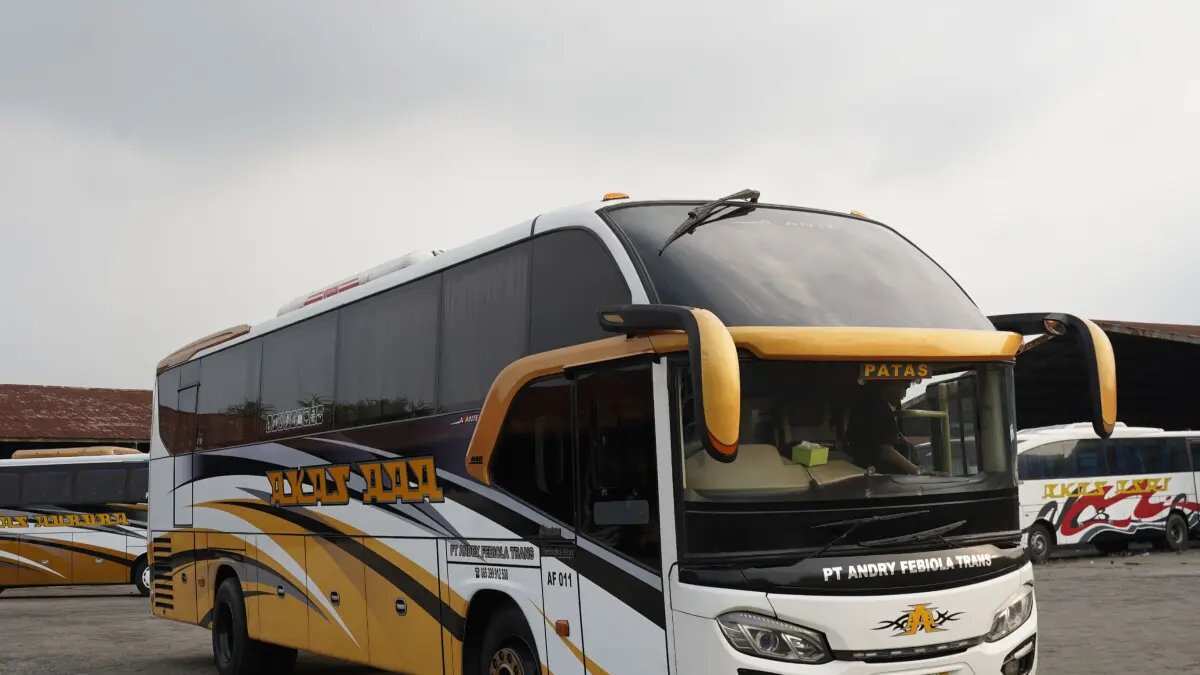 Informasi Lengkap Perjalanan Bus Surabaya-Jember