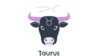 Peluang Keuangan Taurus Minggu Ini