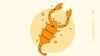 Kesehatan Zodiak Scorpio: Perhatian Khusus untuk Daya Tahan Tubuh