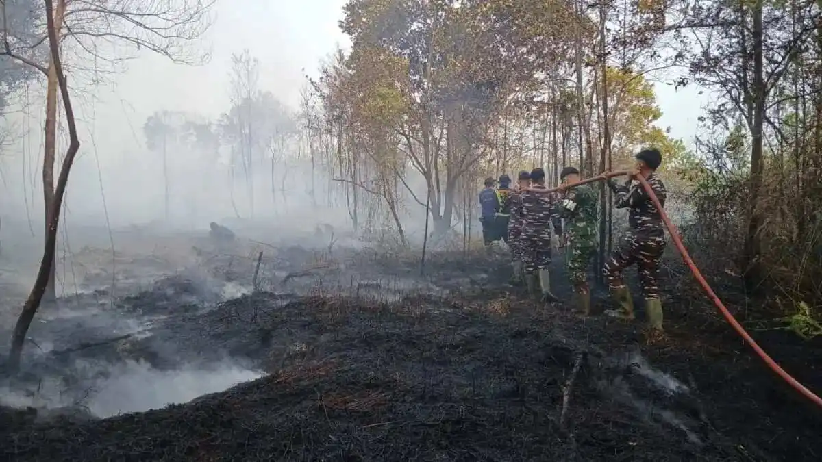 Pengaruh Hujan Terhadap Upaya Pemadaman Karhutla di Riau