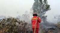 Kebakaran Hutan dan Lahan di Kalimantan: Peningkatan Hotspot dan Dampaknya