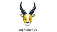 Ramalan Karier Zodiak Capricorn 31 Agustus 2026: Pursuit of Progress