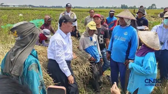 Kebijakan Baru untuk Buruh Tani: Akses Bantuan Alsintan di Karawang