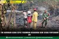 Tim Gabungan Gerak Cepat Padamkan Kebakaran Demi Cegah Penyebaran Api
