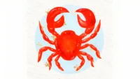 Ramalan Zodiak Cancer: Sikap dan Keuangan pada 28 Agustus 2026
