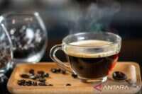 Ahli ungkap manfaat kopi pagi bagi konsentrasi dan kesehatan otak