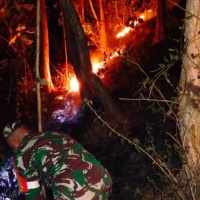 Aksi Sigap Babinsa Dan Warga Padamkan Kebakaran Hutan Jati Di Pagerwojo Blitar