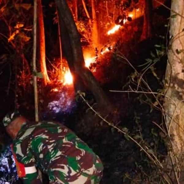 Aksi Sigap Babinsa Dan Warga Padamkan Kebakaran Hutan Jati Di Pagerwojo Blitar