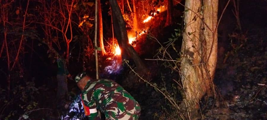 Aksi Sigap Babinsa Dan Warga Padamkan Kebakaran Hutan Jati Di Pagerwojo Blitar