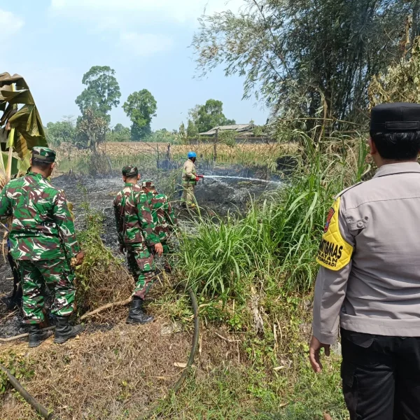 Rumpun Bambu Nyaris Ludes Di Wonodadi Blitar, Kebakaran Berhasil Dipadamkan Berkat Kesiapsiagaan Warga Dan Aparat