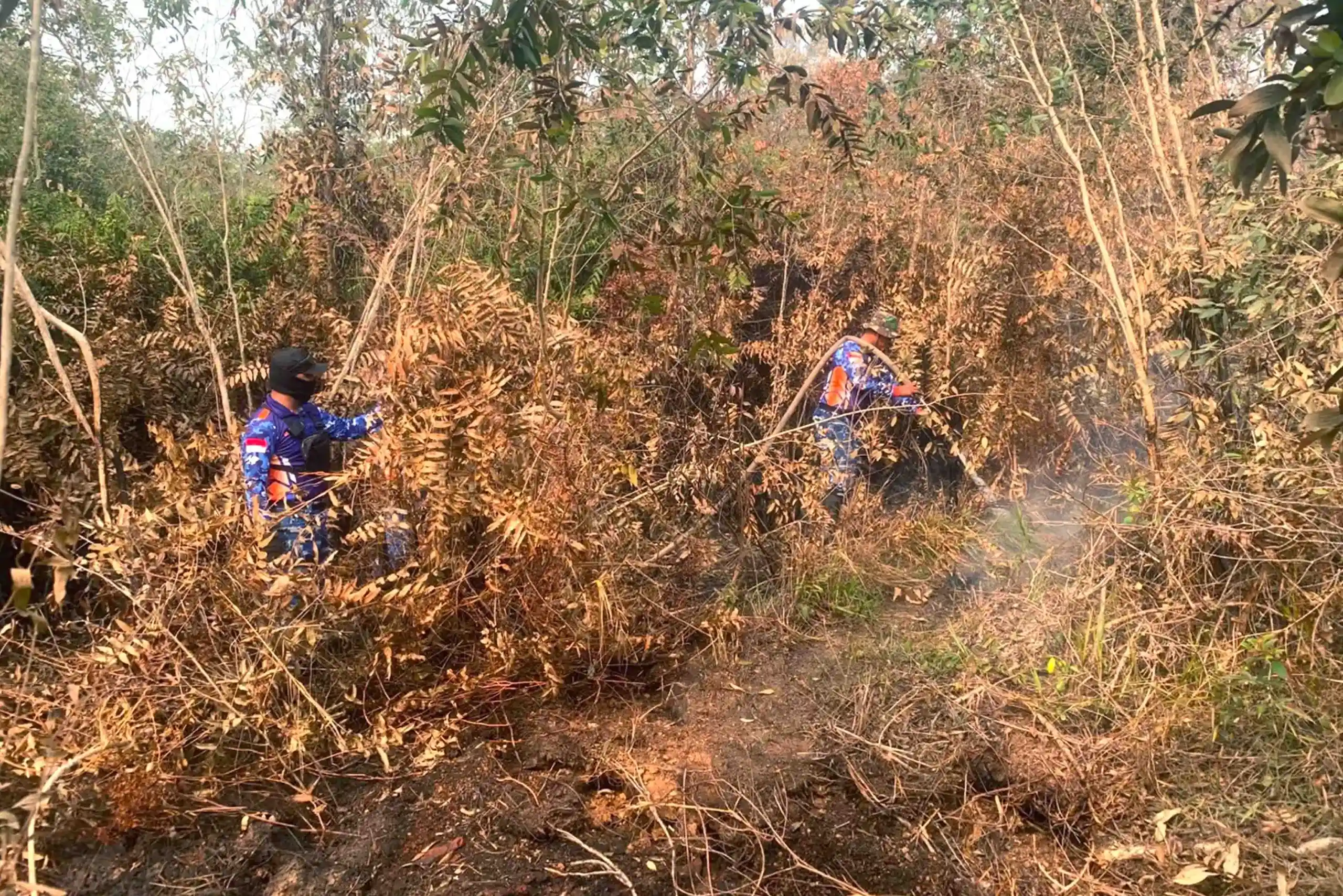 Jaga Gambut Tetap Aman, Satgas Darat Lanud Sjamsudin Noor Perkuat Pembasahan Berkelanjutan