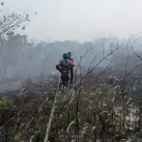 Babinsa Koramil 0908-01/Loktuan Bersama Tim Gabungan Padamkan Karhutla di Kelurahan Bontang Lestari