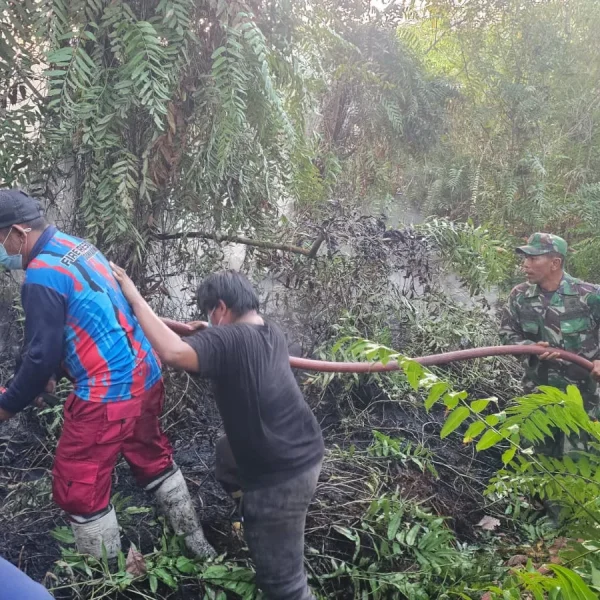 Gerak Cepat, Babinsa dan Tim Gabungan Jinakkan Karhutla di Desa Tanjung Limau