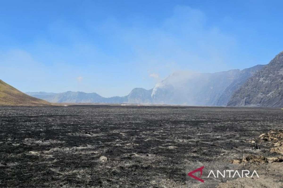 Investigasi Dugaan Pidana Kebakaran Hutan di Gunung Bromo