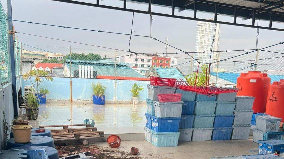 Pembunuhan Tragis di Batam: Asisten Rumah Tangga Habisi Nyawa Majikan