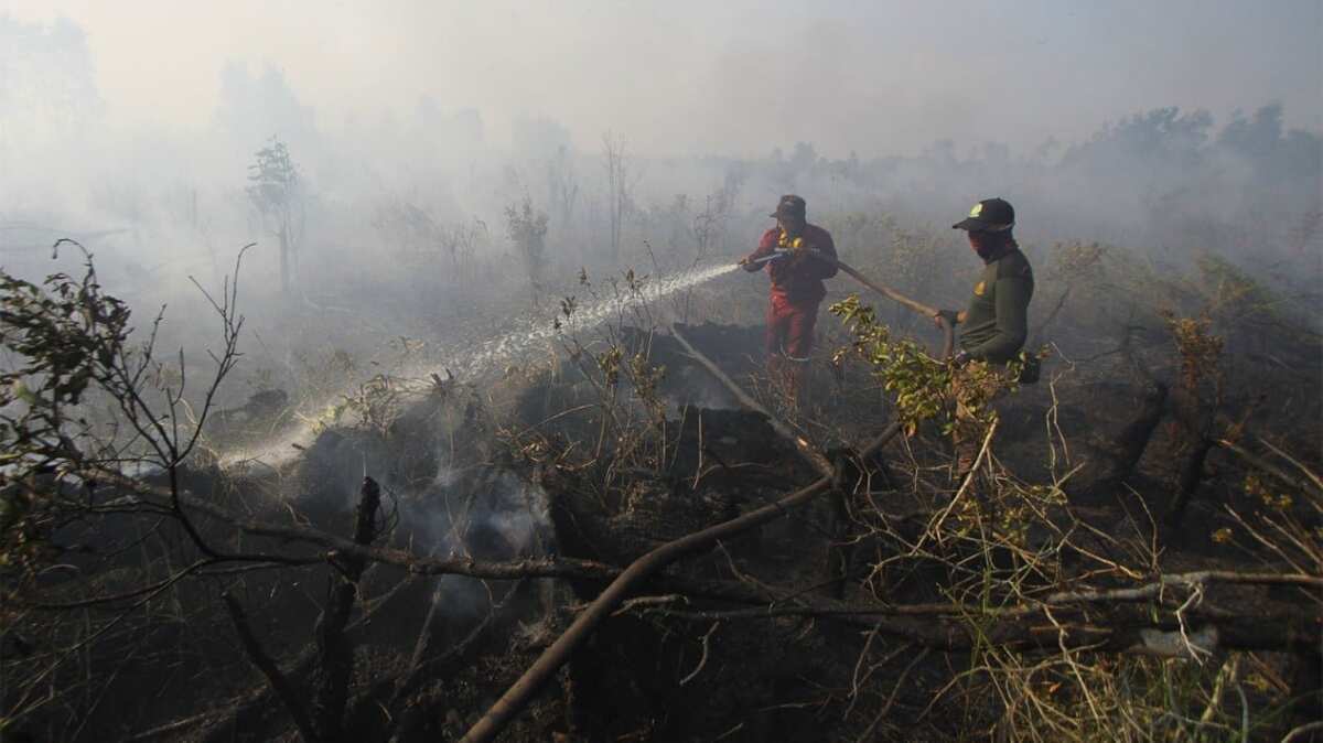 Kondisi Jarak Pandang di Kalimantan Utara Akibat Asap Karhutla