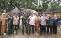 Harmoni Manusia dan Gajah di Taman Nasional Way Kambas