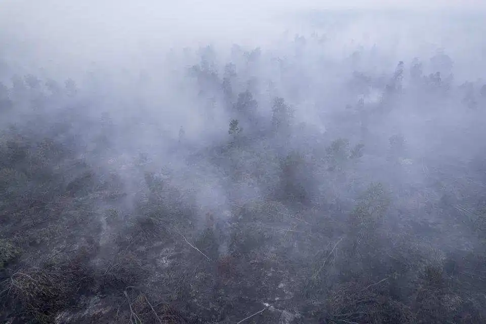 Dampak Asap Kebakaran Hutan Indonesia pada Negara Tetangga