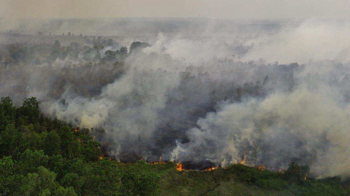 Penanganan Kebakaran Hutan di Ogan Komering Ilir