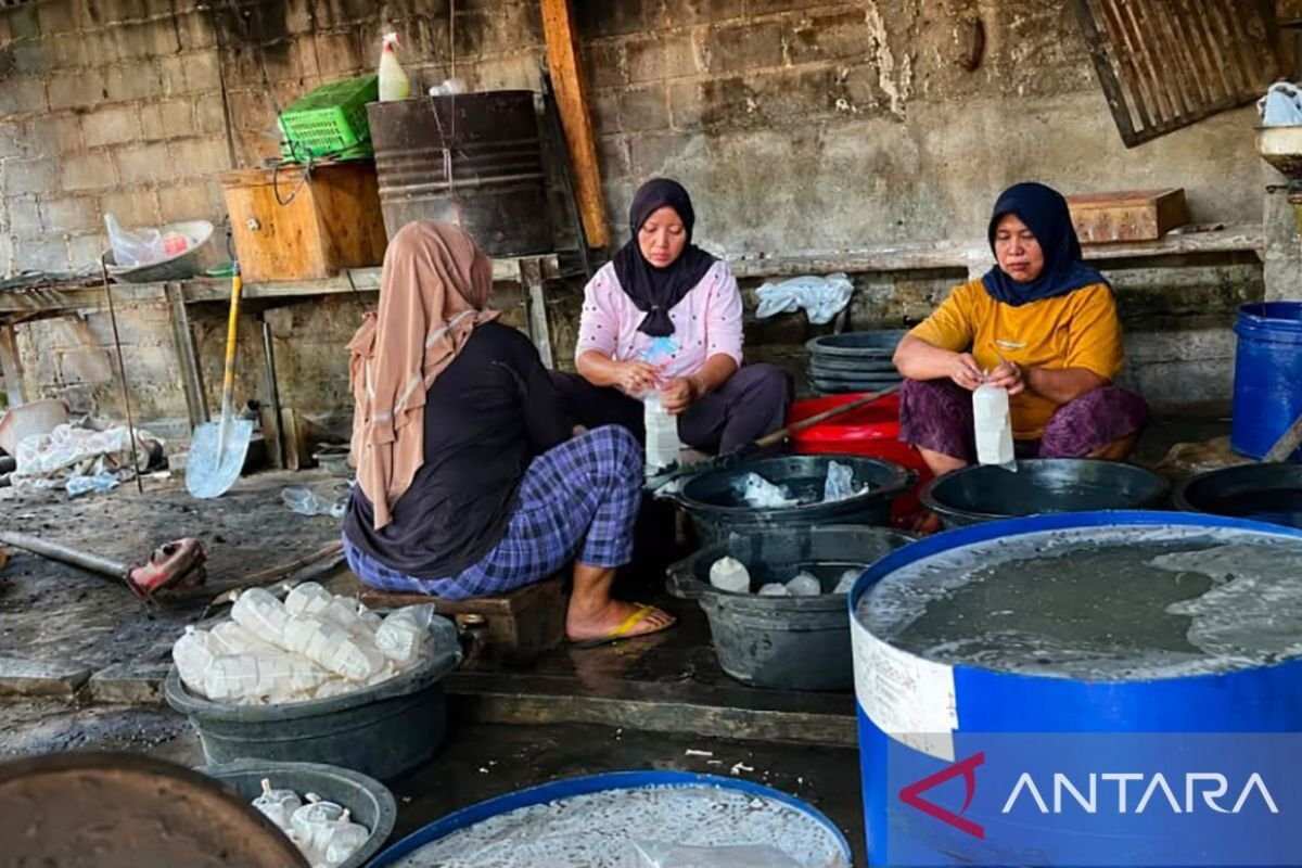 Melindungi Ragi Tempe Sebagai Aset Biologis Indonesia
