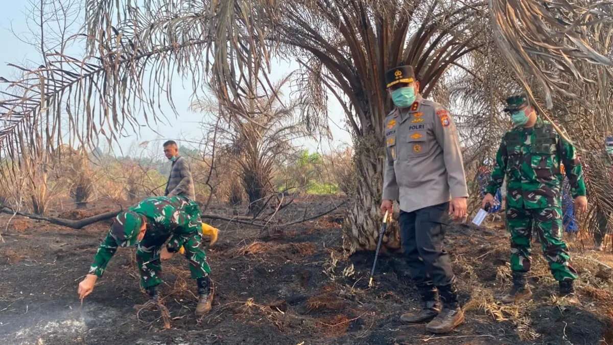 Kebakaran Hutan di Riau: Upaya Pencegahan yang Ditingkatkan oleh POLRI Kebakaran Hutan di Riau: Upaya Pencegahan yang Ditingkatkan oleh POLRI