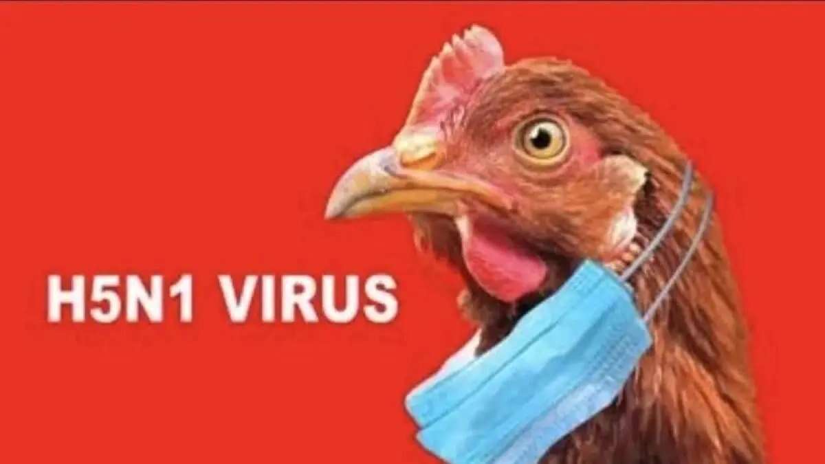 Status Darurat Kesehatan Ditetapkan di Uruguay Akibat Flu Burung