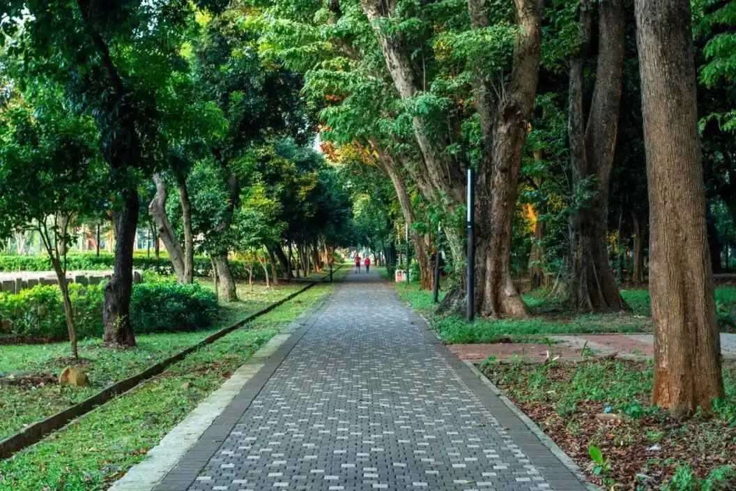 Taman Malam di Jakarta: Pilihan Wisata Gratis Untuk Bersantai