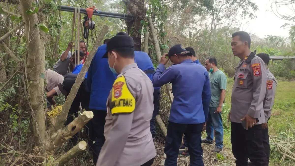 Evakuasi Dramatis Kerbau Betina dari Sumur Tua di Serang Evakuasi Dramatis Kerbau Betina dari Sumur Tua di Serang