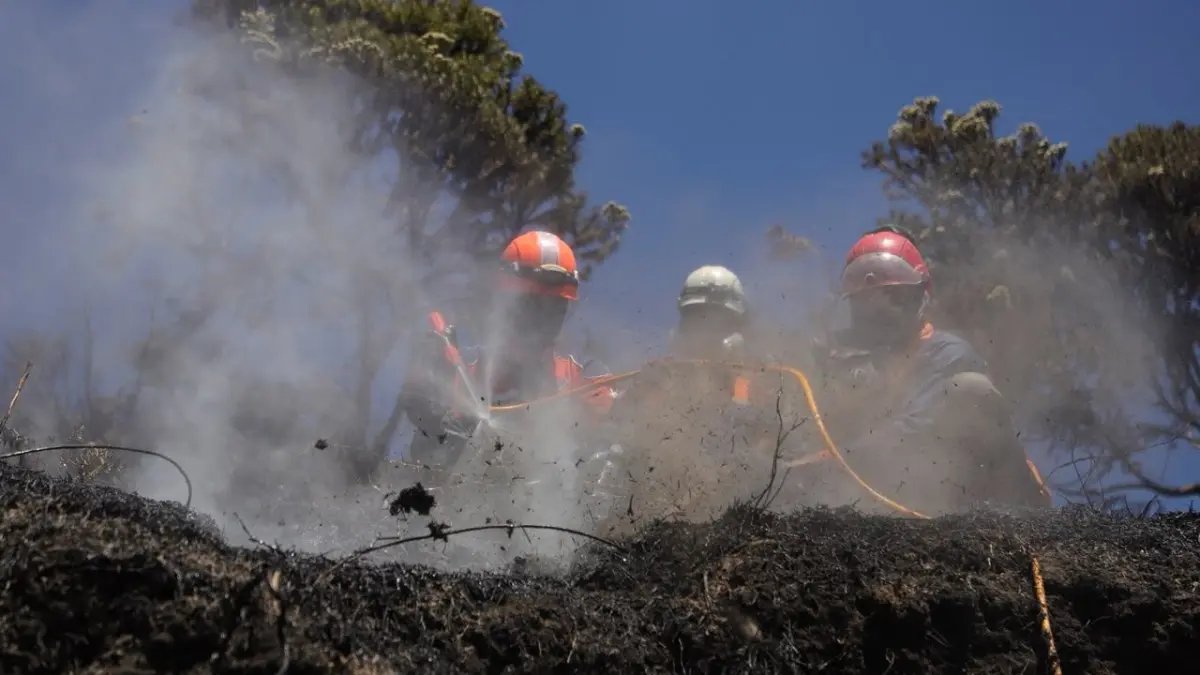 Upaya Pemadaman Kebakaran di Taman Nasional Bromo Upaya Pemadaman Kebakaran di Taman Nasional Bromo