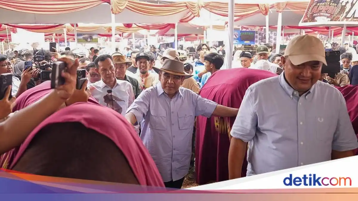 Kontes Sapi Piala Presiden di Bogor Dorong Swasembada Pangan