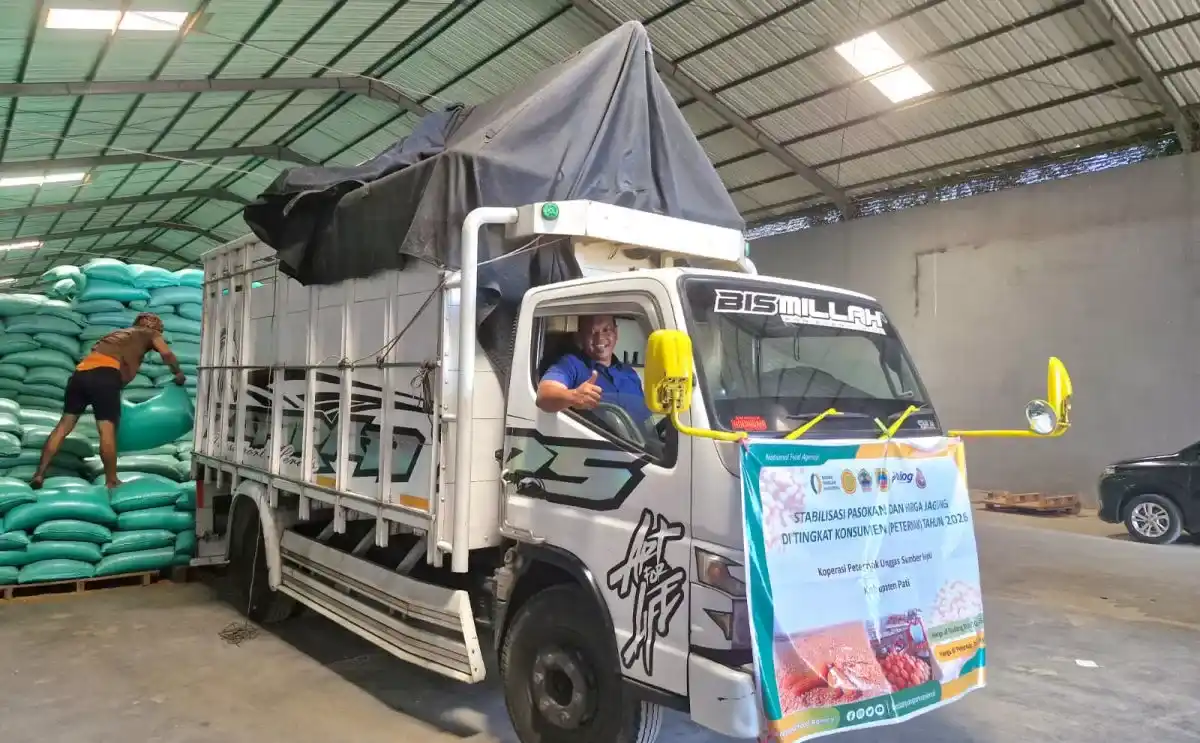 Bulog Jawa Tengah Percepat Penyaluran Jagung SPHP untuk Peternak, Realisasi Tembus 83,28 Persen – Suara Merdeka