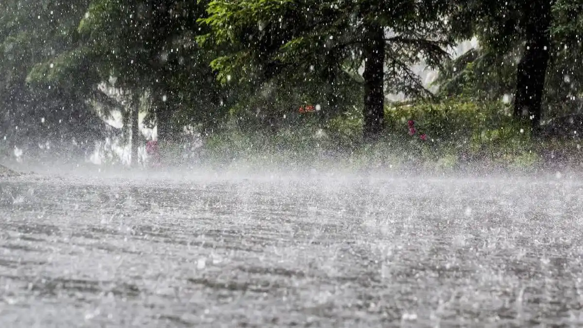 Banjir Melanda Langkat dan Binjai Setelah Hujan Deras serta Angin Kencang Banjir Melanda Langkat dan Binjai Setelah Hujan Deras serta Angin Kencang