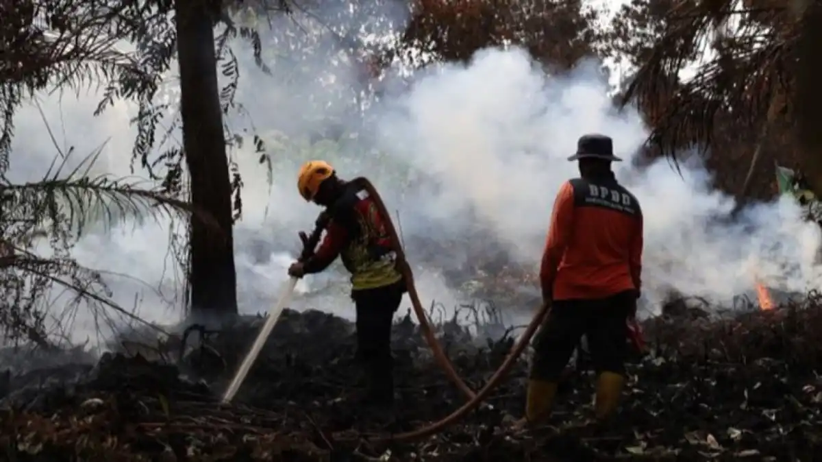 Kemenhut Perkuat Penanganan Karhutla di Tanjung Puting di Tengah Kendala Kabut Asap Kemenhut Perkuat Penanganan Karhutla di Tanjung Puting di Tengah Kendala Kabut Asap