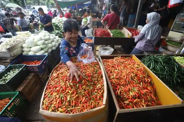 Harga Sejumlah Jenis Cabai Naik pada 13 Oktober 2026, Beras Relatif Stabil