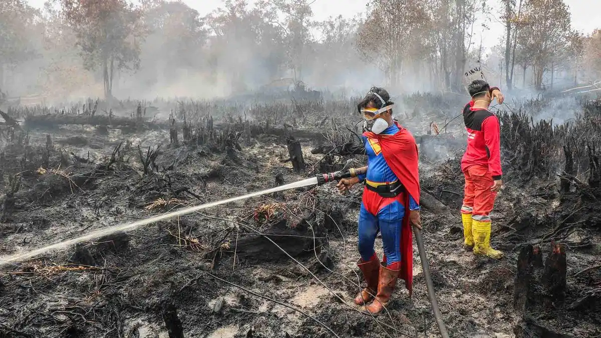 Pemerintah Kerahkan Berbagai Unsur dan Tindak Dugaan Pembakaran dalam Penanganan Karhutla
