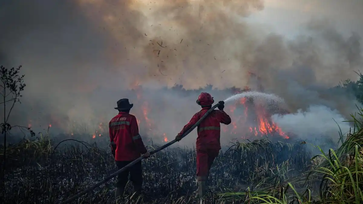 Asap Tebal Hambat Operasi Lima Helikopter Pemadam Karhutla di Sumatera Selatan Asap Tebal Hambat Operasi Lima Helikopter Pemadam Karhutla di Sumatera Selatan