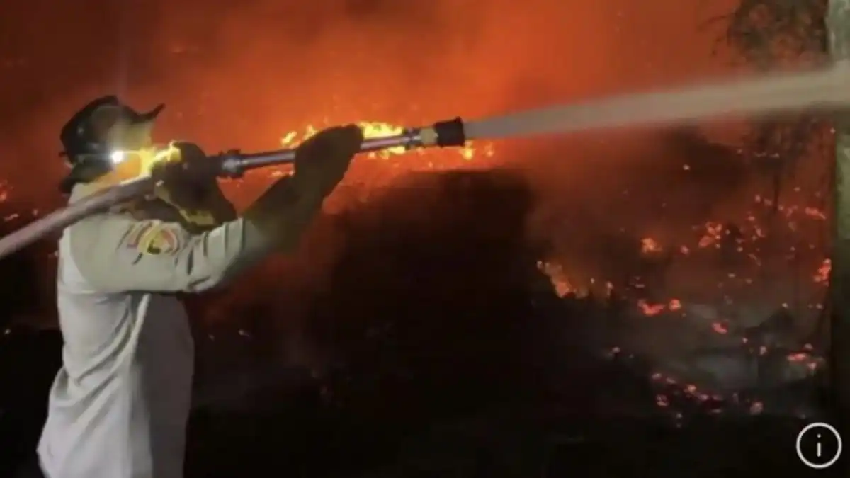 Pemadaman Karhutla Gambut di Kandan Masih Berlanjut, Lahan Warga dan Sitaan Ikut Terbakar Pemadaman Karhutla Gambut di Kandan Masih Berlanjut, Lahan Warga dan Sitaan Ikut Terbakar
