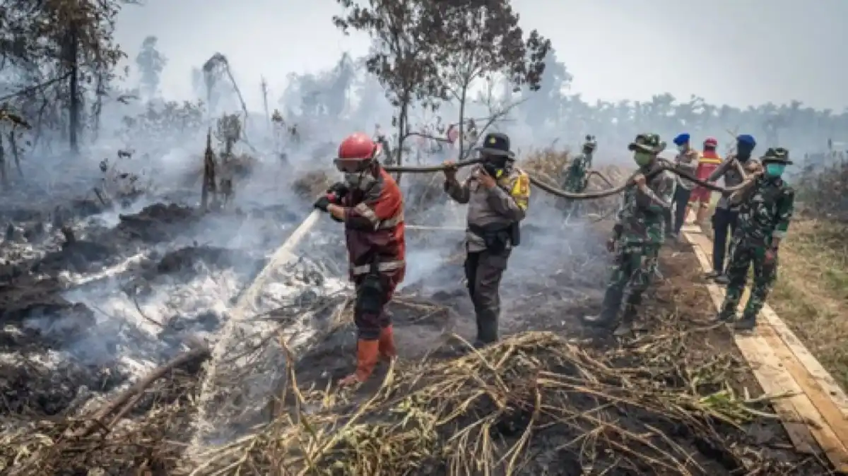 Karhutla di Riau: 65 Tersangka dari 61 Kasus, Pelalawan Catat Area Terbakar Terluas