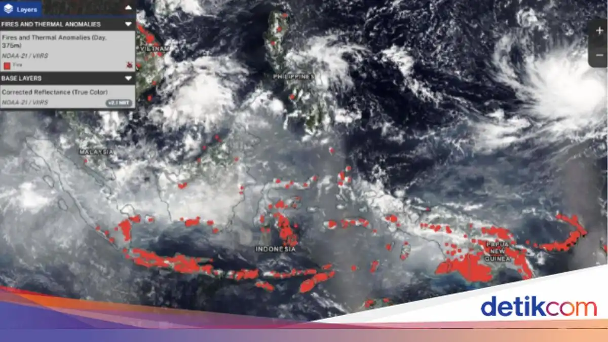 Pantauan NASA: Jejak Karhutla di Indonesia dan Sebaran Asap Terlihat dari Udara