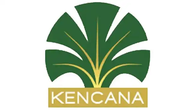 Kebakaran di Konsesi Kencana Agri: Penyelidikan dan Respons Perusahaan