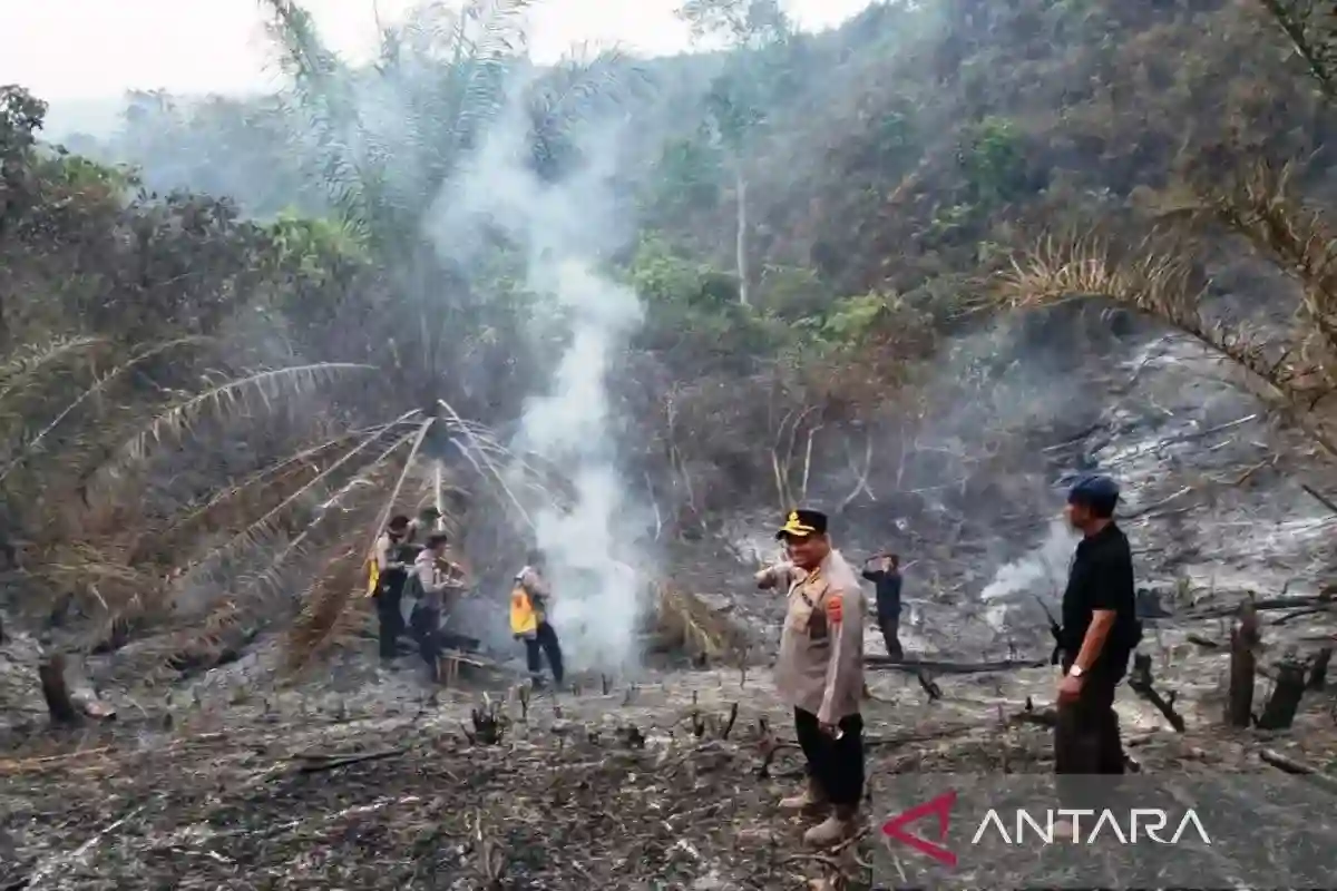 Lemkapi Soroti Penanganan Karhutla dan Desak Sanksi Tegas bagi Korporasi