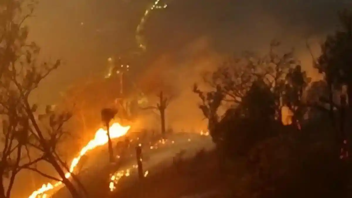 Karhutla di Indonesia: Enam Korban Jiwa di Kawasan Bromo