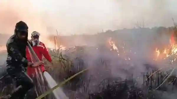 Api di Kawasan Way Kambas Bertahan Sejak September