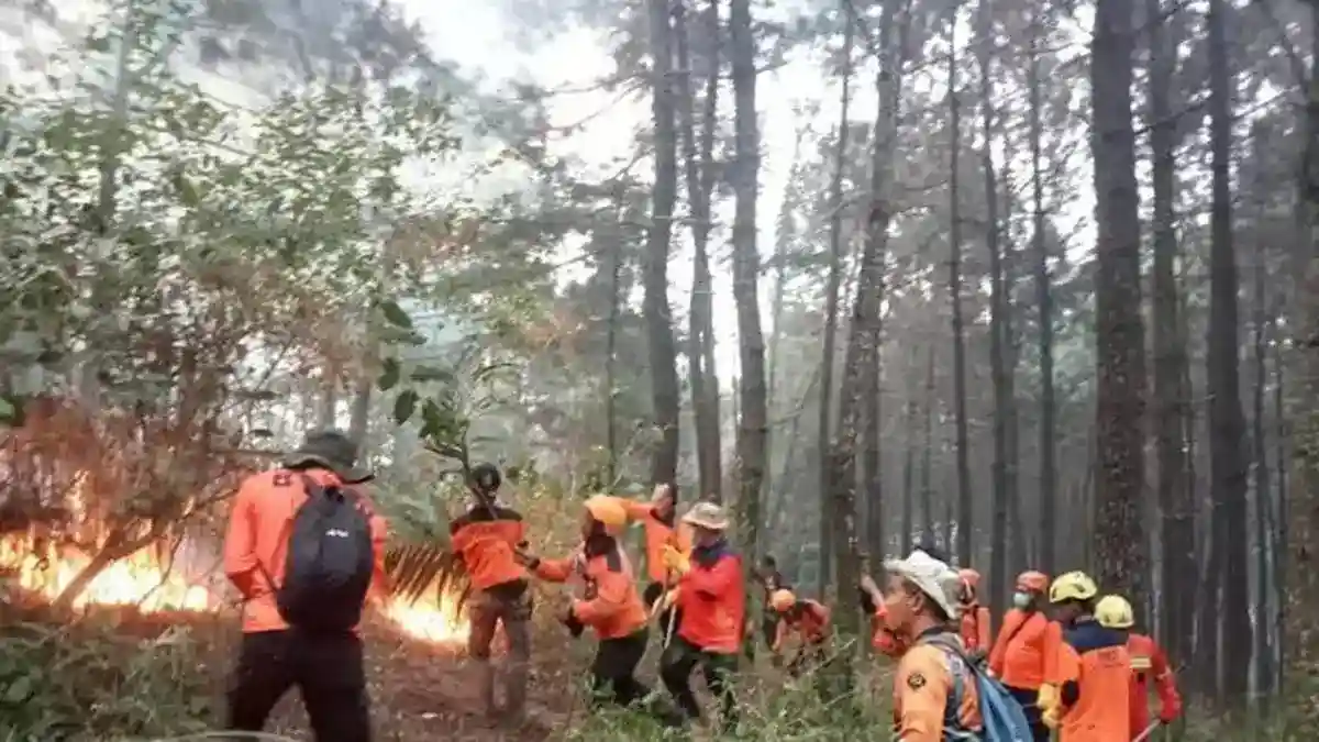 Satu Titik Api Masih Terdeteksi dalam Karhutla di Gunung Lawu