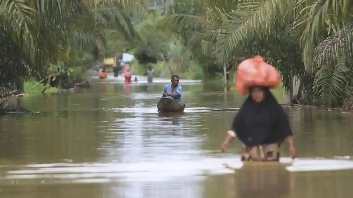 Banjir di Trumon Tengah: Status Darurat, Pengungsian, dan Tanggul yang Roboh