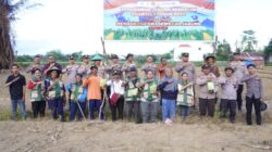 Dukung Ketahanan Pangan Nasional Kuartal 1, Polresta Sorong Kota Tanam Jagung Serentak Bersama Petani